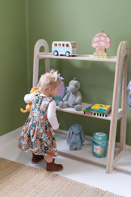 Toy Display Shelving